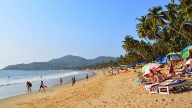 Photo of List Up The Top Beaches In Goa To Plan A Vacation There