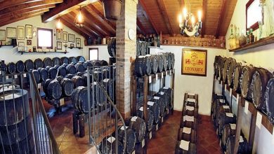 Photo of Why visit a balsamic vinegar cellar?